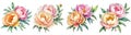 Set of Watercolor Peony on white background