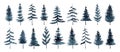 Set of watercolor pines and firs isolated on white background Royalty Free Stock Photo