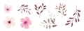 Set of watercolor pink flowers and brown leaves elements