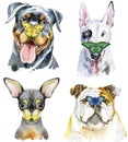 Set Of Watercolor Portrait Of Dogs With Butterflies On Its Nose
