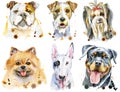 Set of watercolor portraits of dogs for decoration