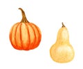 Set with watercolor pumpkins. Yellow round pumpkin and pear-shaped pumpkin. Autumn harvest, healthy eating, vegetarian