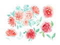Set of watercolor red peony with green leaves