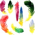 Set of watercolor silhouette feathers