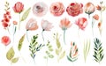 Set of watercolor spring plants: pink and red roses, wildflowers and green branches Royalty Free Stock Photo