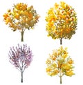 Set of watercolor trees isolated on white for autumn, fall design Royalty Free Stock Photo