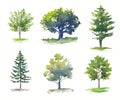 Set of watercolor trees isolated. Hand drawn illustration of various trees