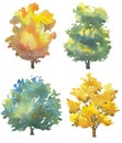 Set of watercolor trees on white, autumn colors of foliage hand drawn illustration