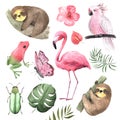 Set of Watercolor tropical animals and birds