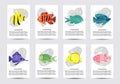 Set of watercolor tropical fish. Collection of card Royalty Free Stock Photo