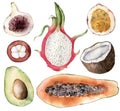 Set of watercolor tropical fruits. Hand painted avocado, coconut, dragon fruit, fig, mangostana, passion fruit and