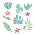 Set of 10 watercolor tropical leaves and flowers. Isolated on wite. Big set of green plants, botanical vector Royalty Free Stock Photo