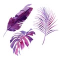 Set of watercolor tropical leaves, hand-drawn vector illustration of purple exotic floral elements isolated on white background. Royalty Free Stock Photo