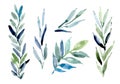 A set of watercolor tropical leaves on a white background. A set of branches with green leaves Royalty Free Stock Photo