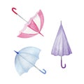 Set of watercolor umbrellas. Clip art collection