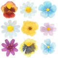 Set of watercolor various bright wild flowers