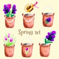 Set of watercolor vectors, flowers in a buckets. Great for printing, web or textile design, scrapbooking. Provence