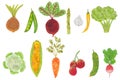 Set of watercolor vegetables. Fresh veggies as tomato, radish, pepper, onion, cucumber, green pea, corn, cauliflower Royalty Free Stock Photo
