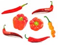 Set of watercolour painted vegetable red chili pepper