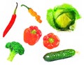 Set of watercolour painted vegetable red chili pepper