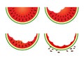 Set of Watermelon Fruit Eating Stage