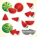 Set of watermelon in various styles vector format