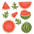 Set of watermelon whole and sliced with green leaves flat vector illustration isolated on white background Royalty Free Stock Photo