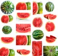 Set of watermelons