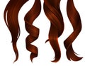 Set of Wavy Strands of Ginger Hair. Vector Realistic 3d Illustration.