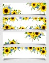 Set of web banners with blue and yellow flowers. Vector illustration Royalty Free Stock Photo