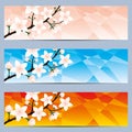 Web banners with cherry flowers. Royalty Free Stock Photo