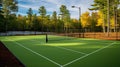 A set of well-maintained pickleball courts