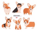 Set of welsh corgi in different postures. Small cute dog of herding breed isolated on white background. Funny pet animal Royalty Free Stock Photo