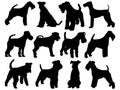 Set of Welsh Terrier Dog silhouette vector art