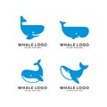Set of whale species logo Vector illustration Royalty Free Stock Photo