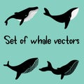 Set of whale vector cartoon clipart illustration of marine mammals Royalty Free Stock Photo