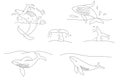 Set with whales, World Whale Day banner or card, doodle style flat vector outline for coloring book