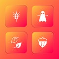 Set Wheat, Ghost, Leaf and Acorn icon. Vector Royalty Free Stock Photo