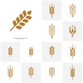 Set of Wheat Luxury Grain and bread labels. Nature wheat. Agriculture wheat Logo Template Vector