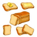 Set of wheat sliced bread and toasts illustration isolated on white. white square loaf with various bread slices icon