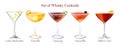 Set Of Whisky Cocktails in vrector Royalty Free Stock Photo