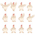 Set of white chicken flat icons