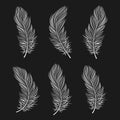 Set of white contour bird feathers on a black background, line art. Decor elements