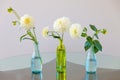 Set of white dahlia flowers in glass vases. Royalty Free Stock Photo