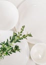 Set of white dishes plates cup decorated eucalyptus Royalty Free Stock Photo