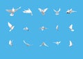 Set of white doves flying isolated on blue Royalty Free Stock Photo