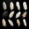 Set of white feathers isolated cutout on a black background Royalty Free Stock Photo