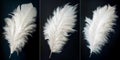 Set of white fluffy feathers on black background. Close-up digital illustrations. Generative AI