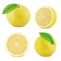Set of white grapefruit isolated on a white background. Royalty Free Stock Photo