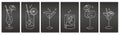 Set of white grunge drawings of refreshing cocktails with ice cubes, straws and umbrellas on a dark background Royalty Free Stock Photo